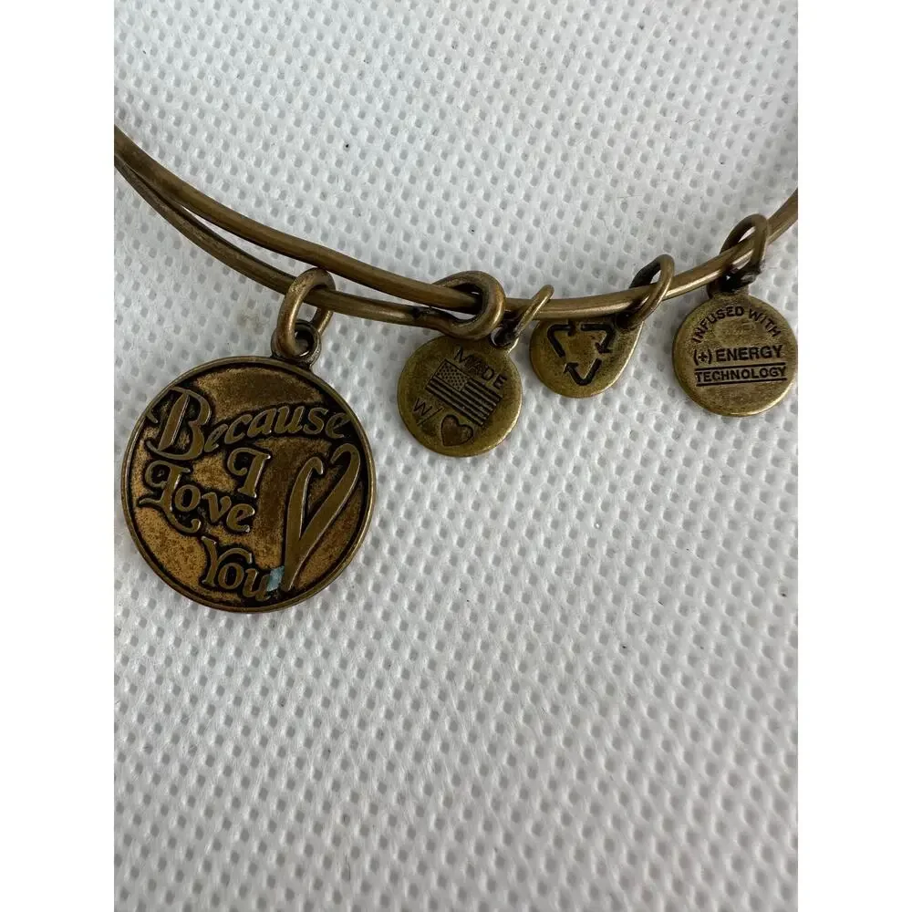 Alex and Ani great preowned